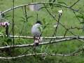 2013-10_CubaActive_A_ (290)